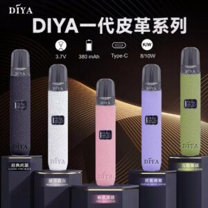 微信图片_20240904121732-300x300 【DIYA叮啞皮革主機】通用一代皮革主機 💖 可卻換 二段功率<8W和10W>