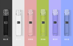 VAKA一代皮革主機